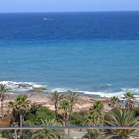 Oli * Torrevieja